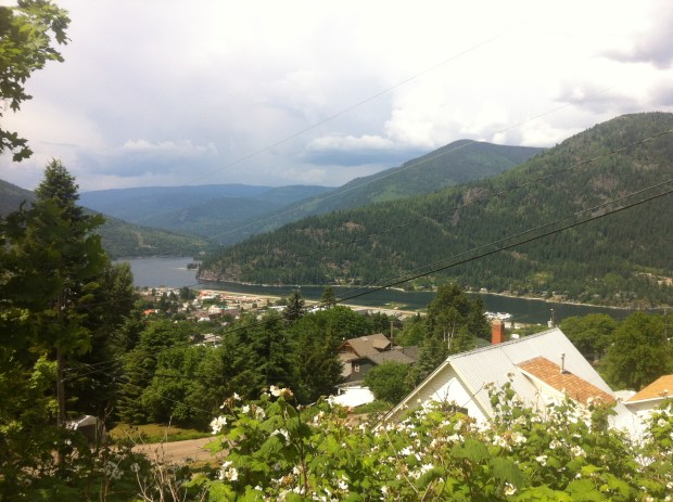 Nelson from Mountain Station